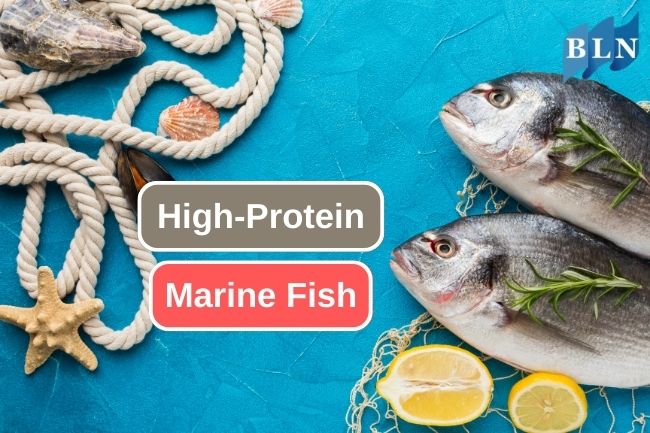 Exploring High-Protein Marine Fish